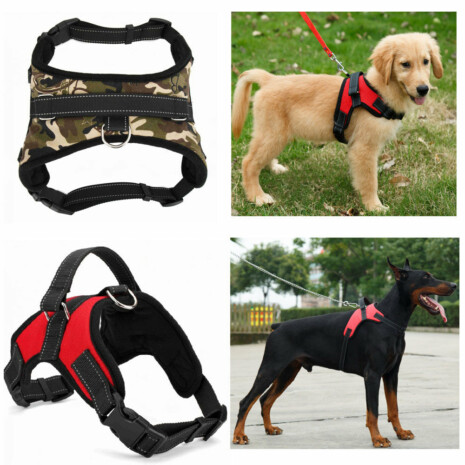 ComfortPlus™ Dog Harness - Reduced Pulling - Tribe of Pets