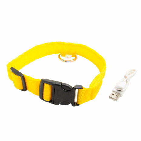 Dog Safety LED Collar - Yellow / XXL 60-70 CM - Tribe of Pets