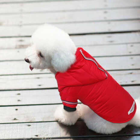 Stylish Warm Dog Jacket - Tribe of Pets