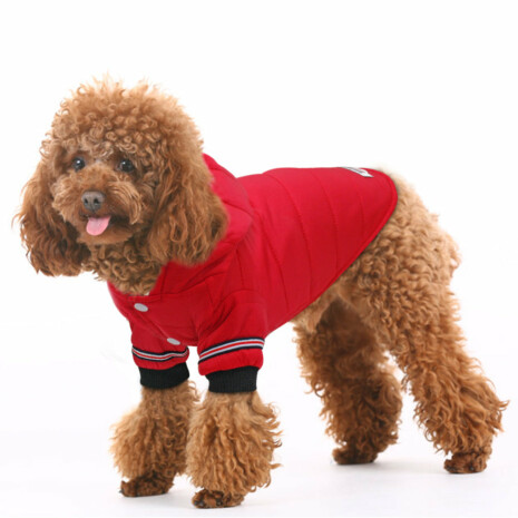 Stylish Warm Dog Jacket - Tribe of Pets Stylish Warm Dog Jacket - Tribe of Pets
