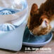 Bubble Water Fountain for Cats - Tribe of Pets