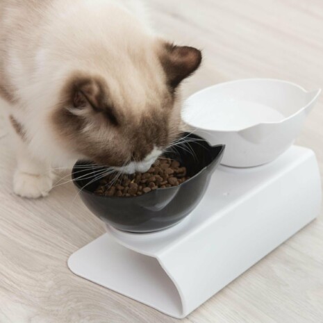 Design Cat Feeder Tray - Tribe of Pets Design Cat Feeder Tray - Tribe of Pets