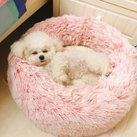 Fluffyโข Anxiety Reducing Pet Bed | Cat & Dog - Tribe of Pets Fluffyโข Anxiety Reducing Pet Bed | Cat & Dog - Tribe of Pets