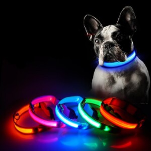 Dog Safety LED Collar - Tribe of Pets