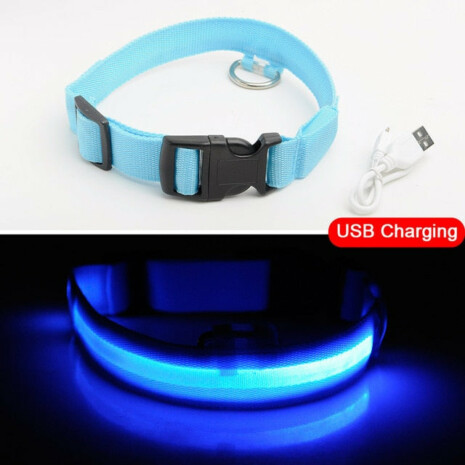 Dog Safety LED Collar - Tribe of Pets Dog Safety LED Collar - Tribe of Pets