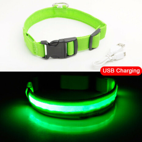 Dog Safety LED Collar - Tribe of Pets Dog Safety LED Collar - Tribe of Pets
