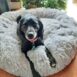 Fluffy™ Anxiety Reducing Pet Bed | Cat & Dog - Tribe of Pets