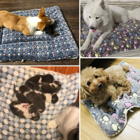 The Soft Pet Cuddle Blanket - Tribe of Pets The Soft Pet Cuddle Blanket - Tribe of Pets