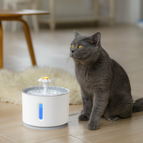 Automatic Pet Water Fountain for Cats and Dogs - Tribe of Pets