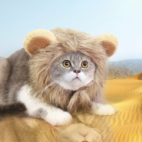 The Lion Cat - Cat Lion Costume - Tribe of Pets