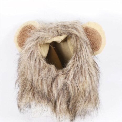 The Lion Cat - Cat Lion Costume - Tribe of Pets