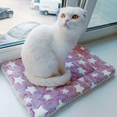 The Soft Pet Cuddle Blanket - Tribe of Pets The Soft Pet Cuddle Blanket - Tribe of Pets