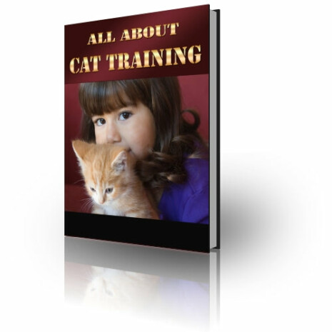All About Cat Training - Ebook - Tribe of Pets