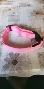 Dog Safety LED Collar photo review