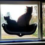 EasyLife™ Cat Hammock photo review