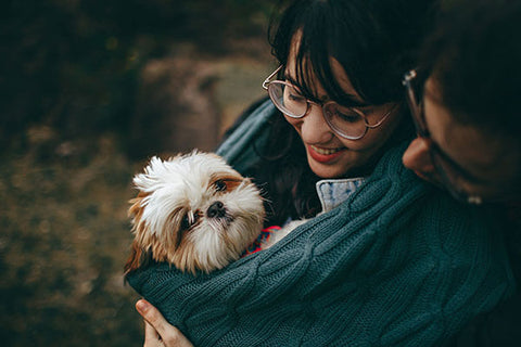 dog care is important, create a bond with your puppy