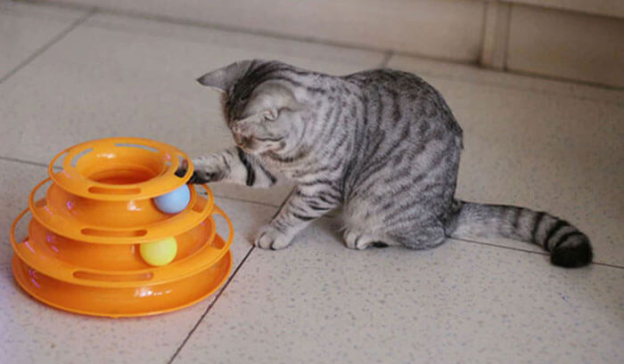 cat toy tower of babel play
